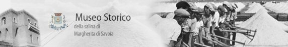 Catalogo del museo della salina